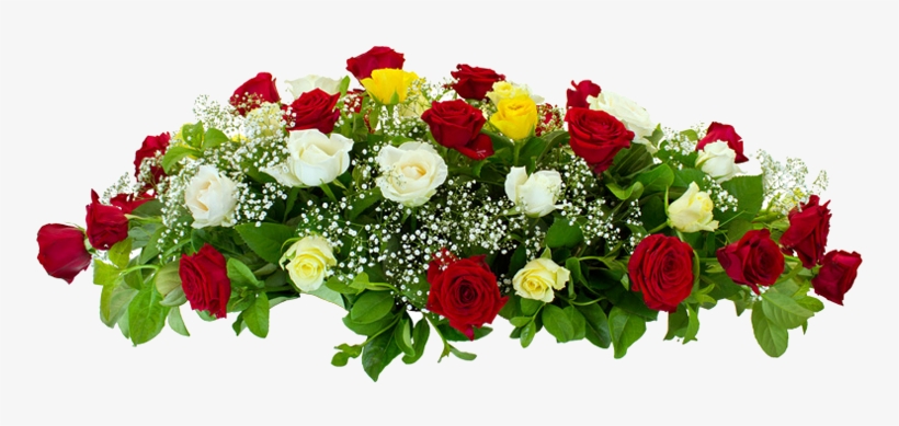 மூக்கனூர் ஊராட்சியில் முறைகேடுகலெக்டரின் நடவடிக்கைக்கு பொதுமக்கள் பாராட்டு