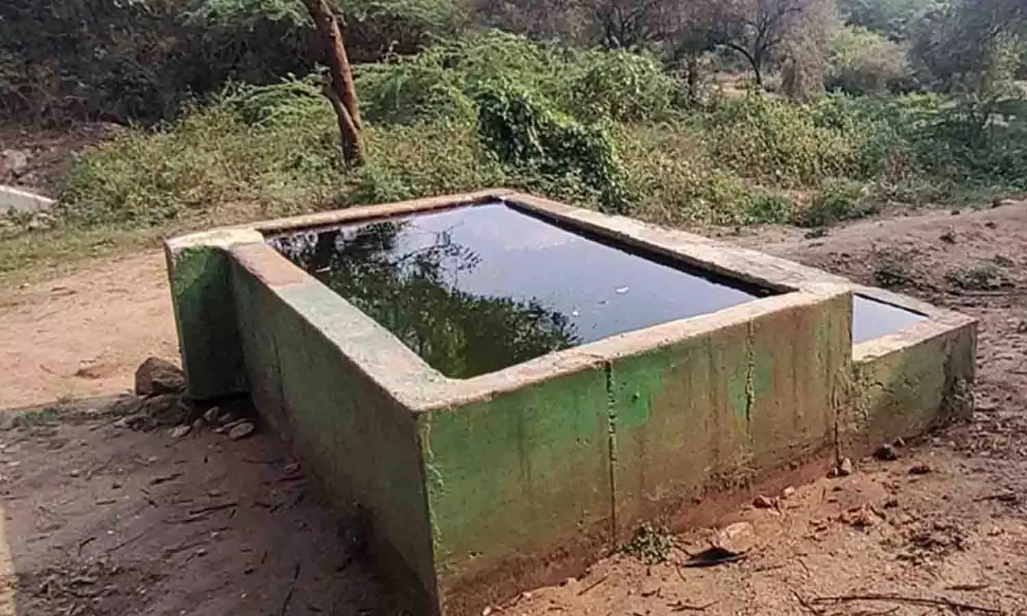 வனவிலங்குகள் தாகம் தணிக்க தொட்டிகளில் தண்ணீர்  நிரப்பும் பணி தீவிரம்