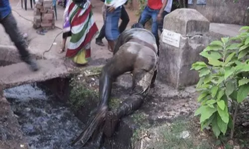 சாக்கடையில் நிர்வாண நிலையில் பெண் உடல் மீட்பு