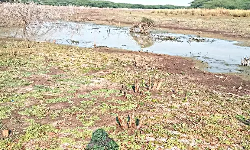 நீர் நிலைகளில் வைகை நீரை நிரப்ப நடவடிக்கை எடுக்க கோரிக்கை
