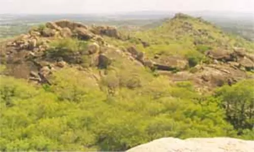 வள்ளிமலை உச்சியில் இருந்து குதித்து வாலிபர் தற்கொலை