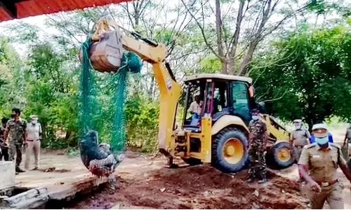 கோவையில் குடிநீர் தொட்டியில் விழுந்து இறந்த குட்டி யானையை தேடி வந்த 11 யானைகள்