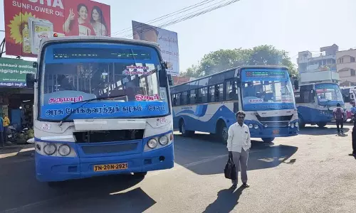 தருமபுரி- ஒகேனக்கல்  சிறப்பு பேருந்துகள் இயக்கம்