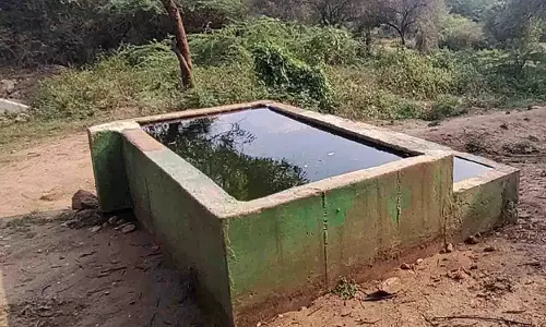 வனவிலங்குகள் தாகம் தணிக்க தொட்டிகளில் தண்ணீர்  நிரப்பும் பணி தீவிரம்