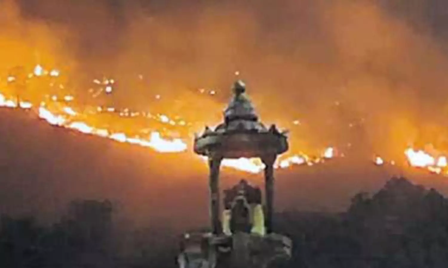 காளஹஸ்தி கைலாசகிரி மலையில் பயங்கர தீ விபத்து- அரிய வகை மூலிகை செடிகள், மரங்கள் எரிந்து நாசம்