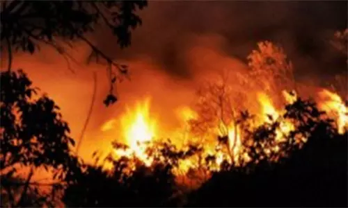 வனப் பகுதியில் திடீர் தீ