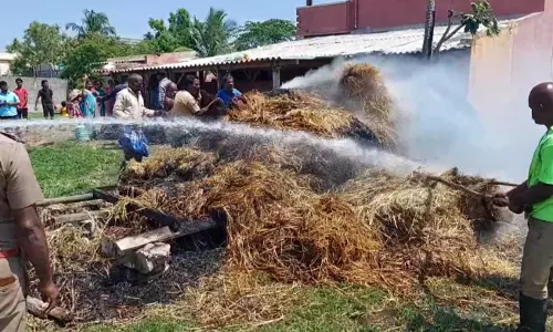 கால்நடை தீவனம் வைக்கோல் தீயில் எரிந்து நாசம்