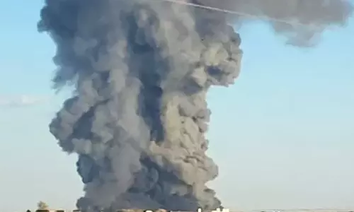 அமெரிக்காவில் பால்பண்ணையில் பயங்கர தீ விபத்து- 18 ஆயிரம் மாடுகள் பலி