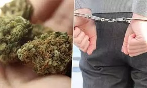 கஞ்சா வைத்திருந்த 2 பேர் கைது