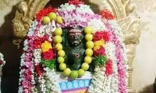 சிவன் கோவிலில் பைரவாஷ்டமி வழிபாடு