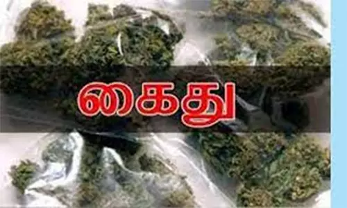கஞ்சா விற்ற வாலிபர் கைது