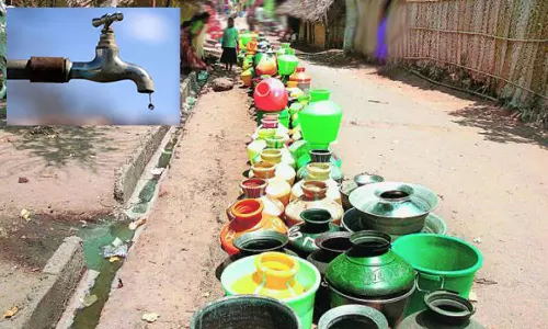 குடிநீர் பிரச்சினைக்கு உடனடியாக தீர்வு காண நடவடிக்கை