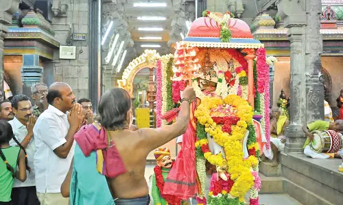 கோவில்பட்டி செண்பகவல்லி அம்மன் கோவிலில்  சுவாமி -அம்பாள் வீதி உலா