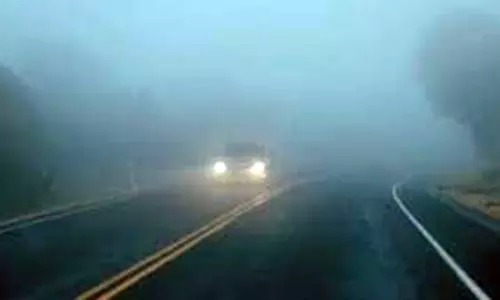 திருவாரூர் மாவட்டத்தில் கடும் பனிபொழிவு