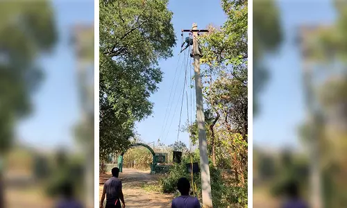 களக்காடு மலையடிவாரத்தில் வனவிலங்குகளை பாதுகாக்க 28 புதிய மின்கம்பங்கள் அமைப்பு
