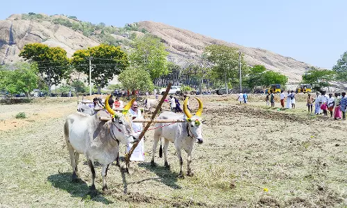 திருப்பரங்குன்றம் கோவில் நிலத்தில் ஏர் பூட்டி உழவு செய்த விவசாயிகள்