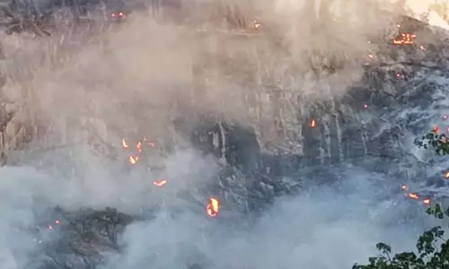 மேற்கு தொடர்ச்சி மலையில் 5-வது நாளாக பற்றி எரியும் காட்டுத்தீ