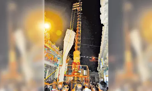 திருவாரூர் தியாகராஜர் கோவில் பங்குனி திருவிழா நிறைவு