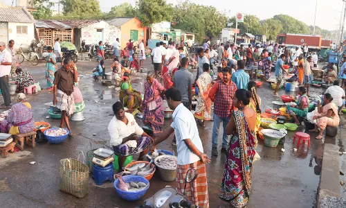 61 நாட்கள் மீன்பிடி தடைக்காலம் தொடங்கியது: கடலூர் துறைமுகத்தில் ஓய்வெடுக்கும் படகுகள்: மீன் வாங்க திரண்ட பொதுமக்கள்