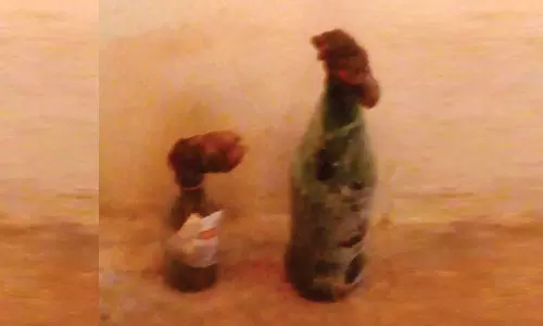 பெட்ரோல் குண்டு வீசப்பட்ட வீடுகளில் எஸ்.பி. ஆய்வு