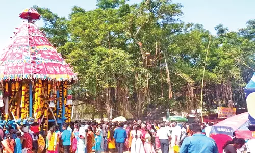 பனைமடல் கூத்தாண்டவர் கோவில் தேர்த்திருவிழாபக்தர்கள் குவிந்தனர்