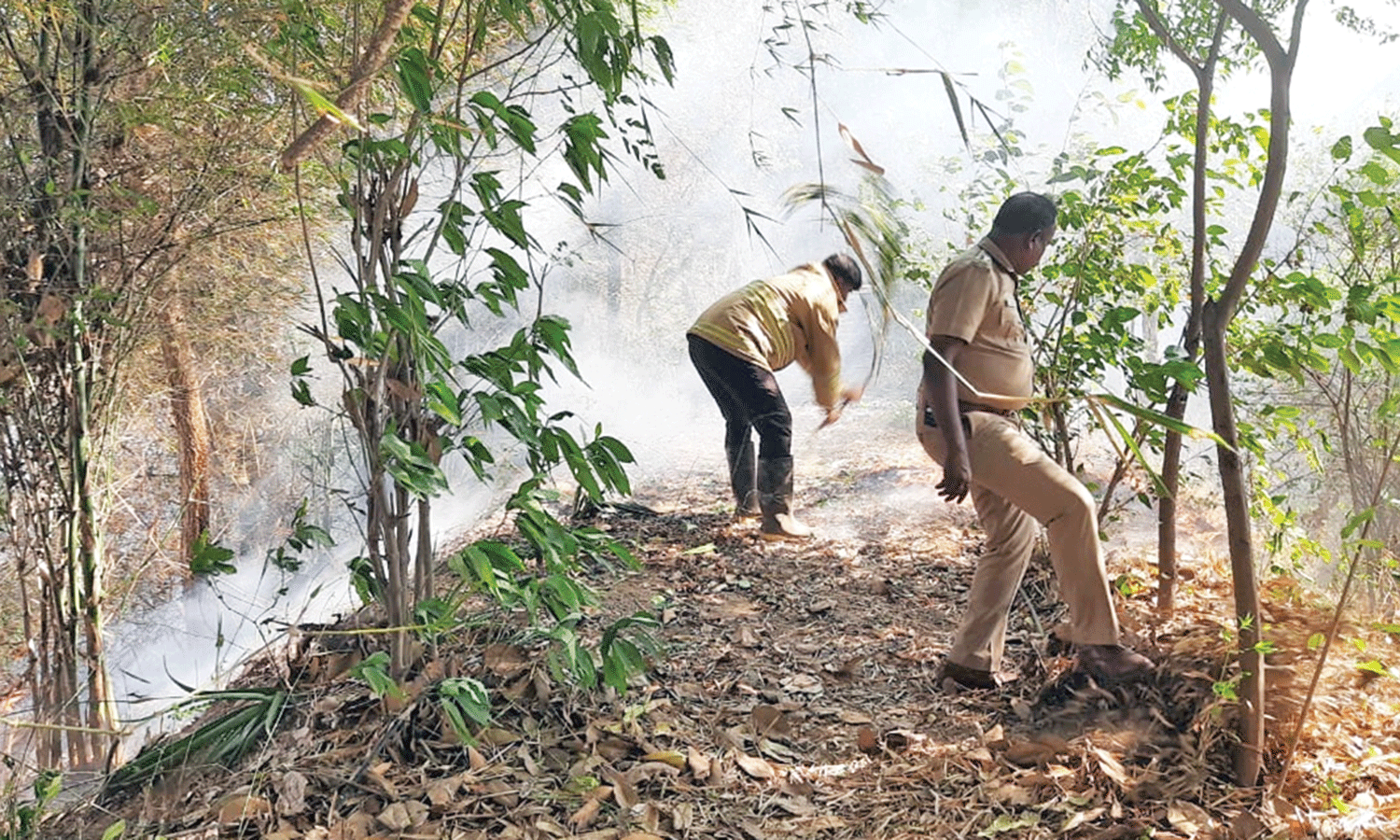 பழனி : மூலிகை மருத்துவ பூங்காவில் தீ விபத்து