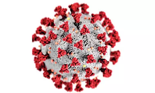புதுவையில் 88 பேருக்கு கொரோனா
