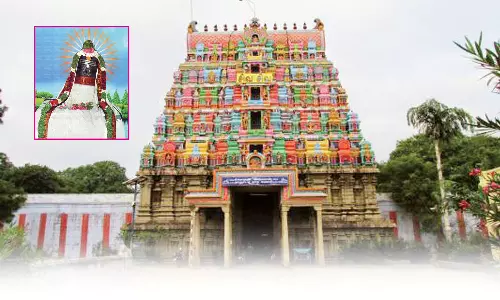 திருப்புடைமருதூர் ஸ்ரீநாறும்பூநாதர் திருக்கோவில்