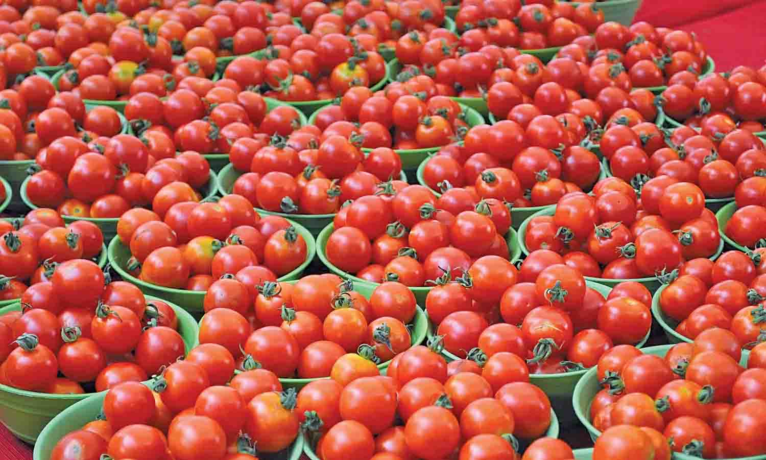 வெள்ளகோவில் வாரச்சந்தையில் ரூ.15-க்கு தக்காளி விற்பனை