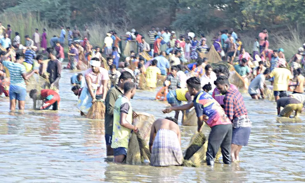 பாரம்பரிய மீன்பிடி திருவிழா காளையார்கோவில் அருகே மீன்களை அள்ளி சென்ற மக்கள் பாரம்பரிய மீன்பிடி திருவிழா காளையார்கோவில் அருகே மீன்களை அள்ளி சென்ற மக்கள்