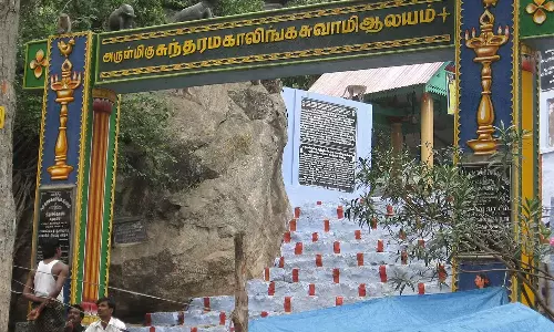 கடும் வெயிலிலும் மலையேறினர்- சதுரகிரியில் பக்தர்கள் சாமி தரிசனம்