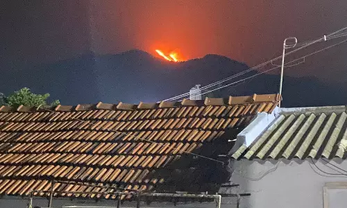 மலைப்பகுதியில் காட்டுத்தீ