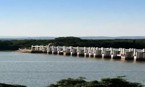 முட்செடிகளால் பாதையில் விரிசல்- பூண்டி ஏரி கரைகள் பாதிப்பு