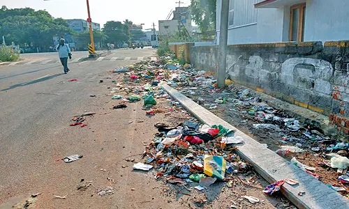 செங்கோட்டை- குற்றாலம் சாலையில் கொட்டி கிடக்கும் குப்பைகள்: பாதசாரிகள், வாகன ஓட்டிகள் அவதி