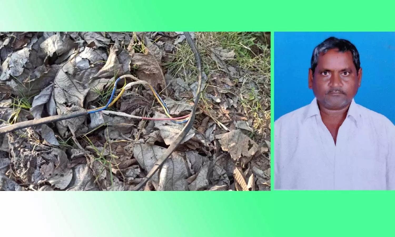 மின்சாரம் பாய்ந்து தொழிலாளி பலி