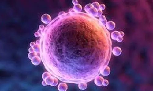 ஓசூரில் தனியார் கருத்தரிப்பு மையத்தில் கருமுட்டை விற்பனை- கணவன், மனைவி தகராறில் ஈடுபட்டதால் பரபரப்பு