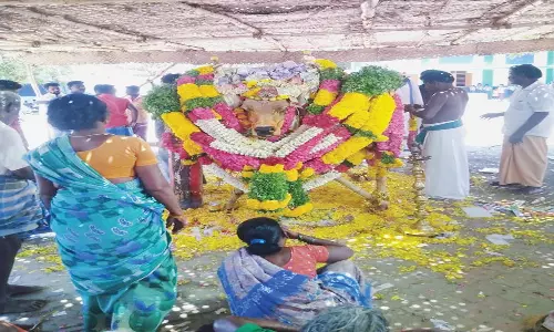 நத்தம் அருகே இறந்த கோவில் காளைக்கு கண்ணீர் அஞ்சலி