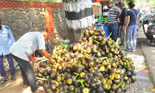 குமரி மாவட்டத்தில் வெப்பத்தின் தாக்கம் நாளுக்கு நாள் அதிகரிப்பு