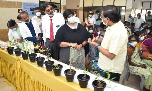 இலவச சிறப்பு சித்த மருத்துவ முகாம்