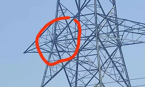 இண்டூர் அருகே மின்சார டவரில் ஏறி தற்கொலை மிரட்டல் விடுத்த விவசாயி