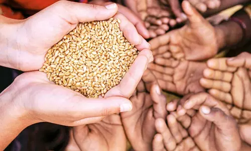 நோன்பு பெருநாள் தர்மம்