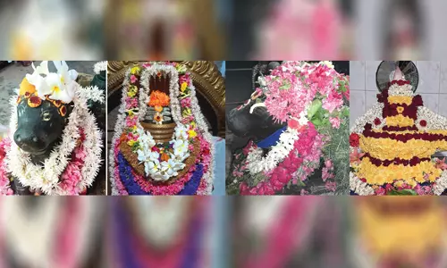 பிரதோஷத்தை முன்னிட்டு சிவாலயங்களில் சிறப்பு வழிபாடு