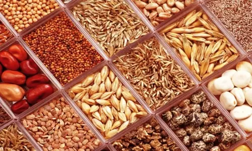 கூடுதல் மகசூலுக்கு தரமான சான்று பெற்ற விதைகளை பயன்படுத்த வேண்டும்