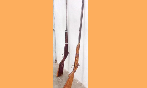 போலீஸ் வாகன சோதனையில் 2 துப்பாக்கிகள்-பால்ரஸ் குண்டுகள் பறிமுதல்