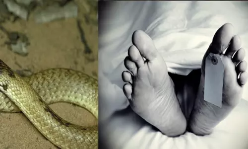 பாம்பு கடித்து வாலிபர் பலி
