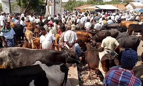 வாரச்சந்தையில் ரூ.85 லட்சத்திற்கு கால்நடைகள் விற்பனை