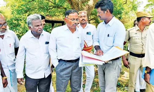 சீர்காழியில், வளர்ச்சி திட்ட பணிகளை கலெக்டர் ஆய்வு