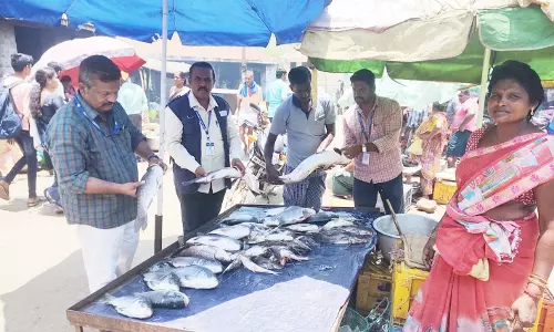 ஒகேனக்கல்லில் அழுகிய மீன்களை விற்றால் கடும் நடவடிக்கை எடுக்கப்படும்