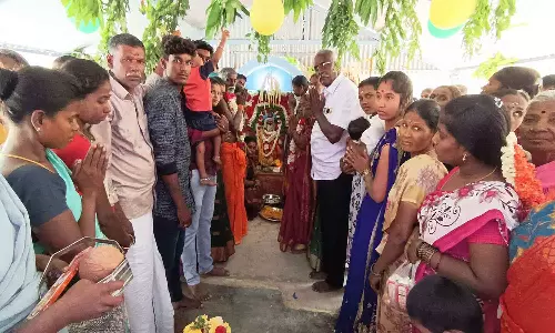 அரச, வேப்ப மரங்களுக்கு திருமணம்