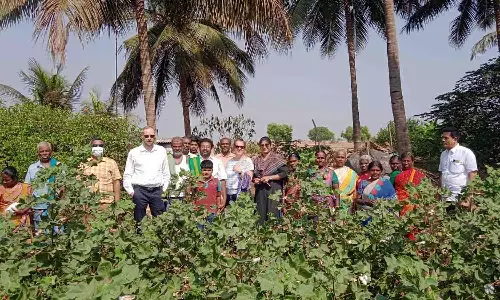பல்லடம் அருகே இயற்கை விவசாயத்தை பார்வையிட்ட வெளிநாட்டு  பயணிகள்